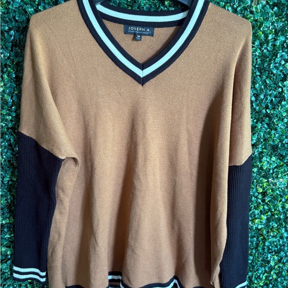 Joseph A Men's Tan and Black V-Neck Sweater - Picture 1 of 5